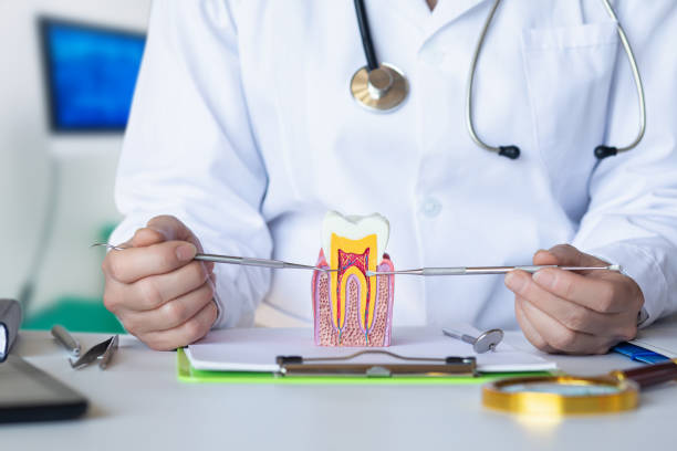Best Emergency Wisdom Tooth Extraction in Bishopville, SC